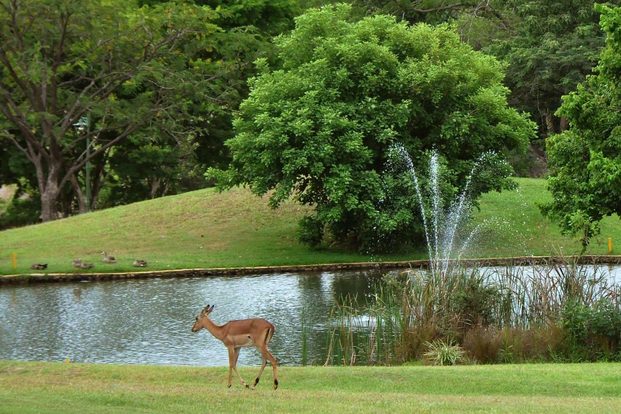 האזיביו Kruger Park Lodge Unit No. 243 מראה חיצוני תמונה